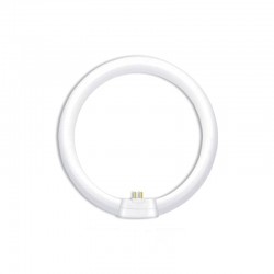 ΦΘΟΡΙΟΥ ΚΥΚΛΙΚΗ 40W 4000Κ ΦΘΟΡΙΟΥ ΚΥΚΛΙΚΗ 40W 4000Κ