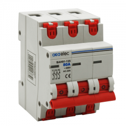 SWITCH DISCONNECTOR 3P 80A