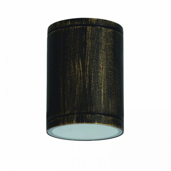 ^E27 PAR30  ROUND CEILING LUMINAIRE 230V AC GOLDEN BLACK IP65 MAX.35W