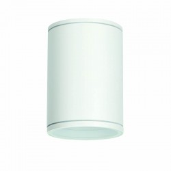 ^E27 PAR30  ROUND CEILING LUMINAIRE 230V AC MATT WHITE IP65 MAX.35W