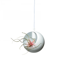 ΚΡΕΜΑΣΤΟ Φ/Σ 1ΧΕ27 ΜΕΤΑΛΛΙΚΟ ΛΕΥΚΟ Φ20XH120CM HOSTA ΚΡΕΜΑΣΤΟ Φ/Σ 1ΧΕ27 ΜΕΤΑΛΛΙΚΟ ΛΕΥΚΟ Φ20XH120CM HOSTA