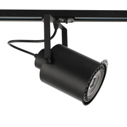 ^TRACK SPOT PAR30 3C BLACK No13