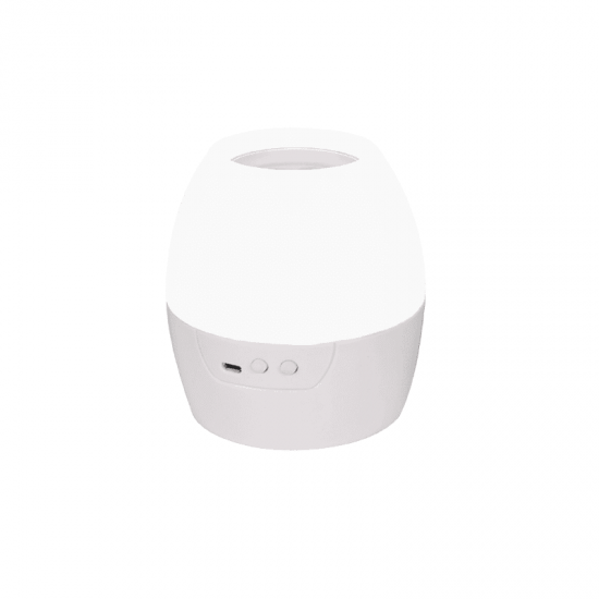 2 IN 1 8W LED NIGHT LIGHT & PROJECTOR WITH 4 PATTERNS AND 1M USB CABLE OR 3XAA