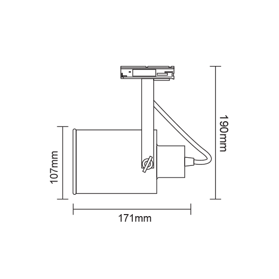 ^TRACK SPOT PAR30 3C BLACK No13