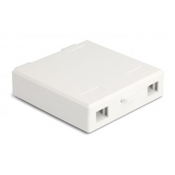DELOCK κυτίο σύνδεσης οπτικών ινών 87139 τοίχου, 2x SC Simplex/LC Dublex