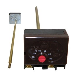 3952 | ΘΕΡΜΟΣΤΑΤΗΣ ΘΕΡΜΟΣΙΦΩΝΟΣ ΜΕ ΒΙΔΕΣ