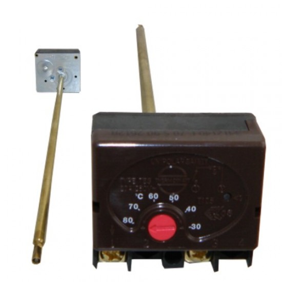 3952 | ΘΕΡΜΟΣΤΑΤΗΣ ΘΕΡΜΟΣΙΦΩΝΟΣ ΜΕ ΒΙΔΕΣ