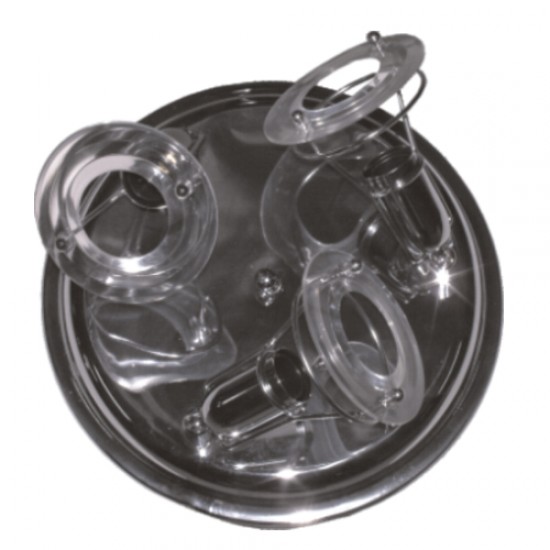 3677 | ΙII ΡΟΖΕΤΑ  ΜΕ ΠΛΑΣΤΙΚΟ ΔΙΣΚΑΚΙ R50