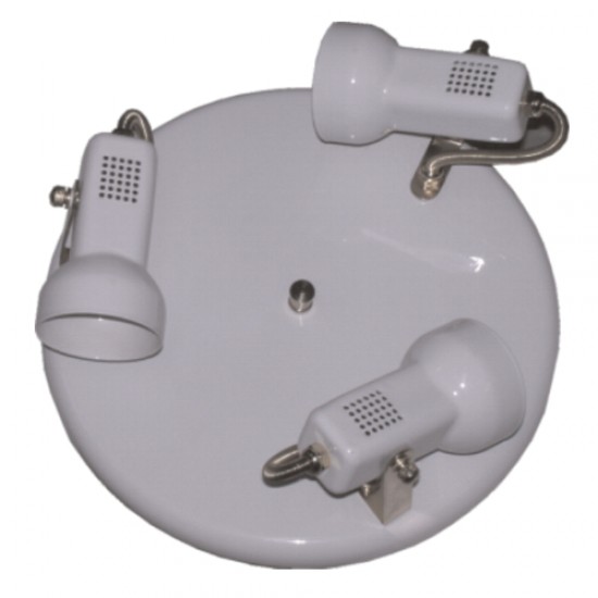 3638 | III ΡΟΖΕΤΑ  R50