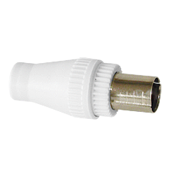 4003-1 | Φις Tv αρσενικό