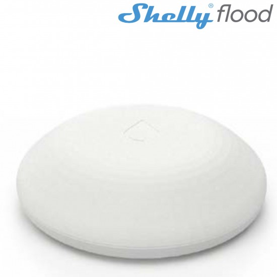 Shelly flood Shelly flood