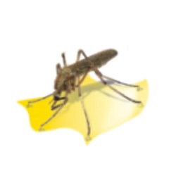 6618 | ΕΝΤΟΜ/ΔΑ ΕΠΑΓΓ.850m²:2x40W