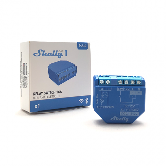 Shelly Plus 1