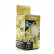 EL822932 | LED FILLAMENT CLEAR DIM|P45 4W(>40w) E14|3000k|470lm|{enjoysimplicity}™