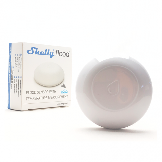 Shelly flood Shelly flood