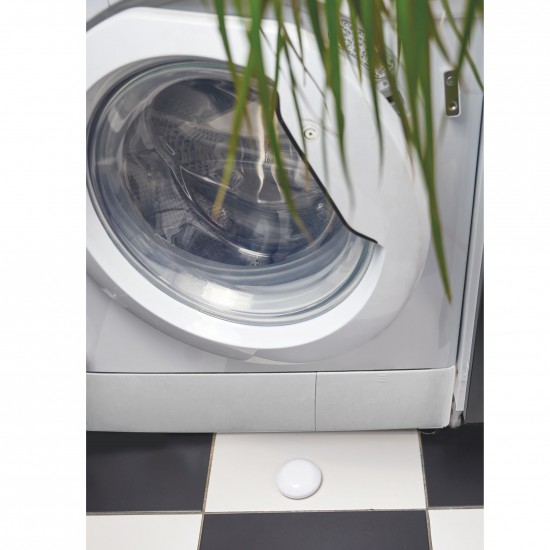 Shelly flood Shelly flood