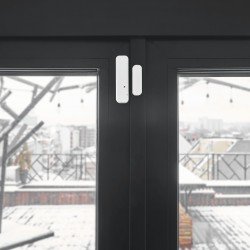 Shelly Door/Window2