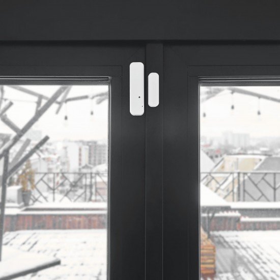 Shelly Door/Window2