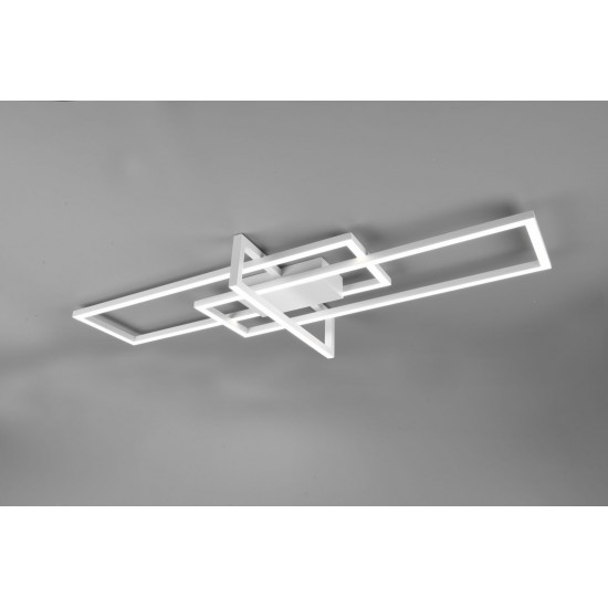 Salinas 620310331 Salinas 620310331