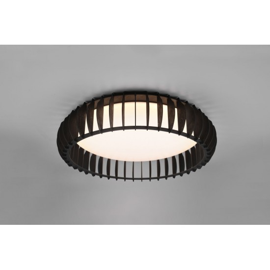 Monte R62171932 Monte R62171932