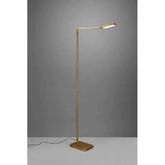 PAVIA 470310104 PAVIA 470310104