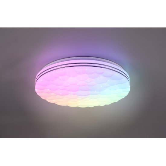 TIGER R67131100 TIGER R67131100