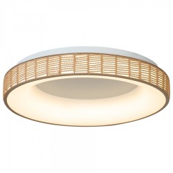 ΟΡΟΦΗΣ ΦΩΤΙΣΤΙΚΟ LED-ΠΛΑΦΟΝΙΕΡΑ-ΚΩΔ. FORTE-40-Y