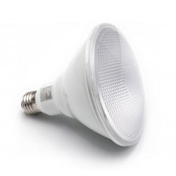 LED ΛΑΜΠΑ PAR38 E27 16W 230V 38° ΨΥΧΡΟ 6200Κ