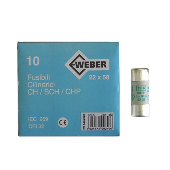 ΦΥΣΙΓΓΙΑ ΚΥΛΙΝΔΡΙΚΑ 22x58mm 25Α aM