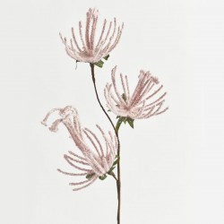 ΚΛΑΔΙ, ΜΕ ΡΟΖ ΛΟΥΛΟΥΔΙΑ, 51cm