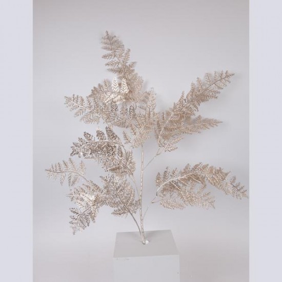 ΚΛΑΔΙ ΦΤΕΡΗ, ΣΑΜΠΑΝΙ, 107cm ΚΛΑΔΙ ΦΤΕΡΗ, ΣΑΜΠΑΝΙ, 107cm